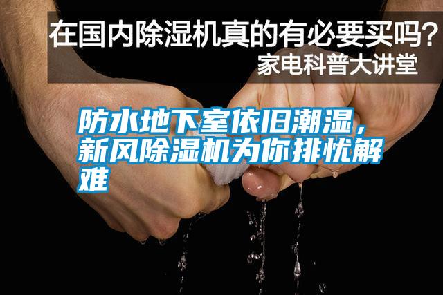 防水地下室依舊潮濕，新風除濕機為你排憂解難