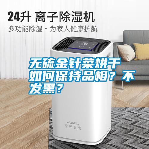 無(wú)硫金針菜烘干如何保持品相？不發(fā)黑？