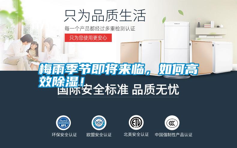 梅雨季節即將來臨，如何高效除濕！