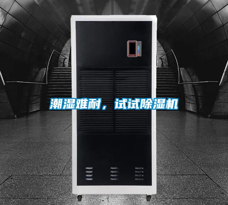 潮濕難耐,試試除濕機