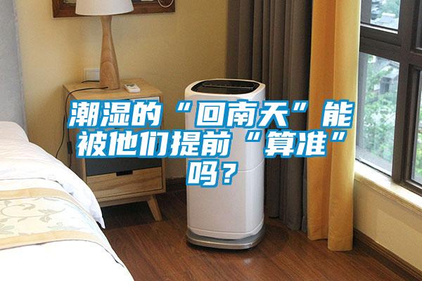 潮濕的“回南天”能被他們提前“算準”嗎？