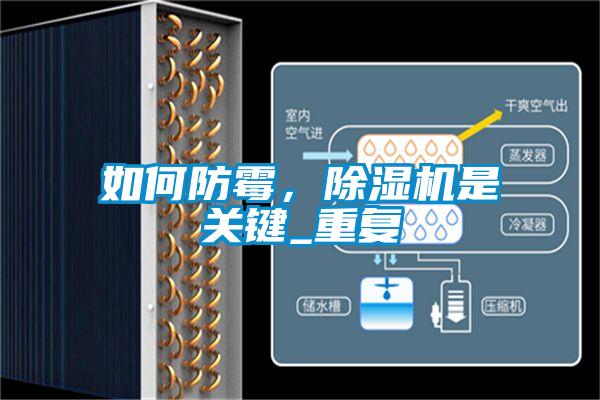 如何防霉，除濕機是關鍵_重復