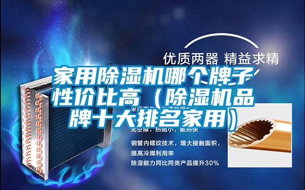 家用除濕機哪個牌子性價比高(除濕機品牌十大排名家用)