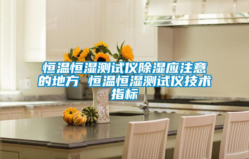 恒溫恒濕測試儀除濕應注意的地方 恒溫恒濕測試儀技術(shù)指標