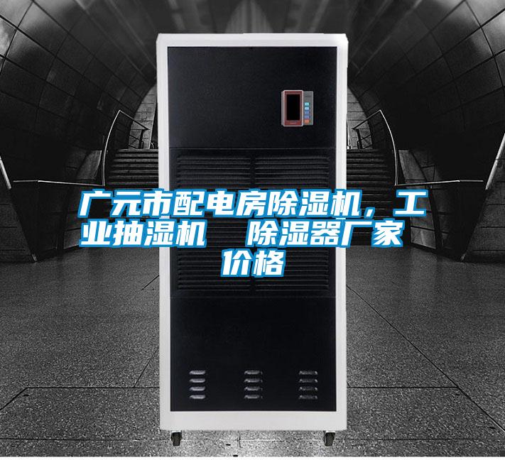廣元市配電房除濕機(jī),工業(yè)抽濕機(jī) 除濕器廠家 價(jià)格