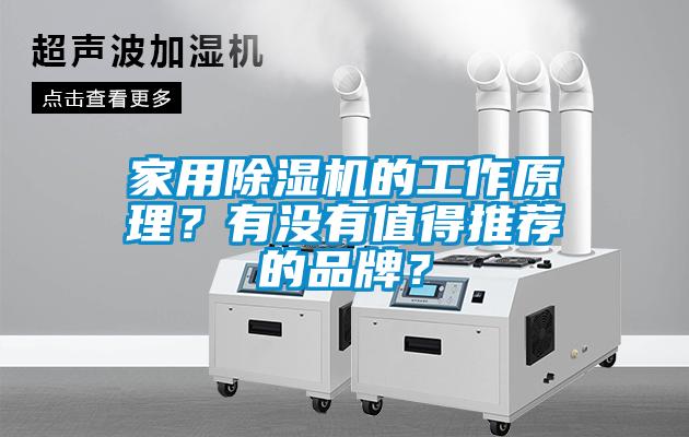 家用除濕機的工作原理？有沒有值得推薦的品牌？