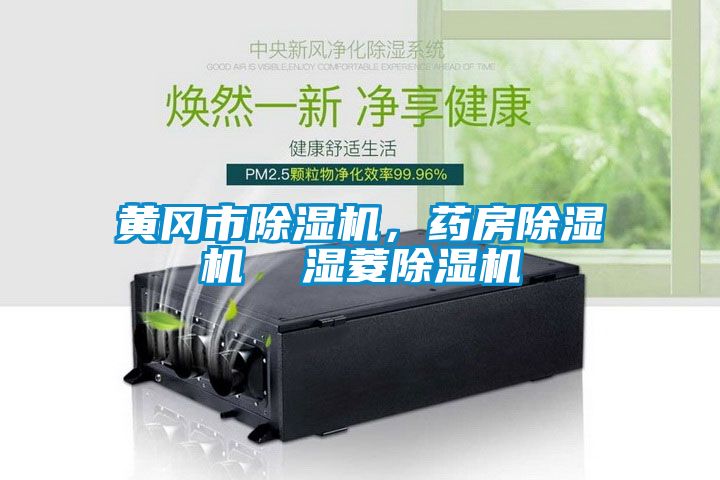 黃岡市除濕機,藥房除濕機 濕菱除濕機